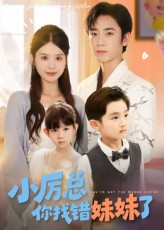 小厉总你找错妹妹了（52集）短剧全集免费看
