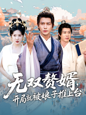 无双赘婿开局就被娘子推上台（80集）演的怎么样