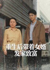 重生后带着女婿发家致富（41集）好看吗