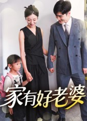家有好老婆（35集）好看吗
