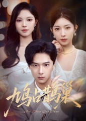 鸠占鹊巢&顶流夫人的致命陷阱（70集）短剧太好看