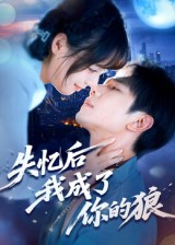 失忆后我成了你的狼（70集）海量短剧免费看