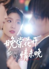晚棠花开情未晚（30集）短剧全集免费看
