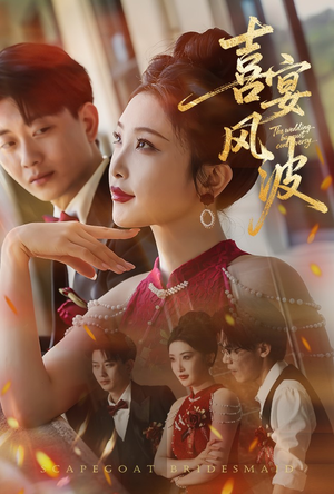 喜宴风波&替罪伴娘（30集）精彩不断免费看