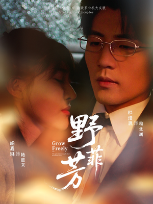 野芳菲（60集）全剧看到大结局