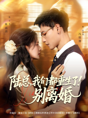 陆总我们都重生了别离婚（79集）短剧