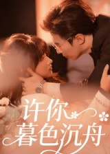 许你暮色沉舟（64集）无需会员免费看