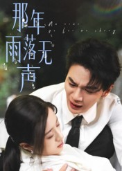 那年雨落无声（55集）全集一网打尽