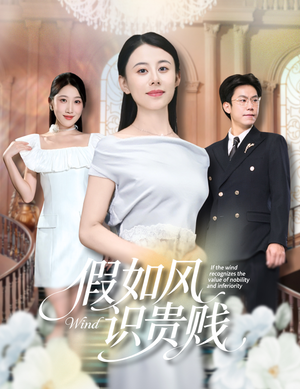 假如风识贵贱（58集）全部免费看全集