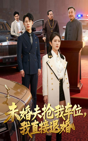 未婚夫抢我车位我直接退婚（41集）在线观看完整版