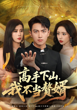 高手下山我不当赘婿（66集）在哪里可以全集