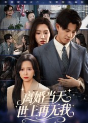 离婚当天世上再无我（60集）新短剧推荐