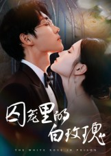 囚笼里的白玫瑰（59集）短剧推荐分享