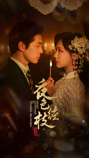 夜色缠枝百度HE版本（62集）免费观看