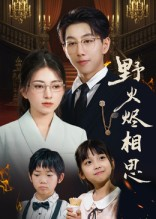 野火烬相思（61集）热门了短剧