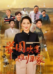 举国欢宴难归家（40集）免费短剧看不停