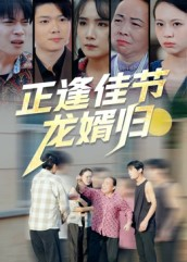 正逢佳节龙婿归（42集）热播短剧追不停