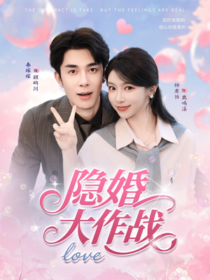 隐婚大作战（82集）剧情简介