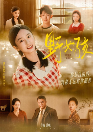 野女孩（91集）看精彩短剧