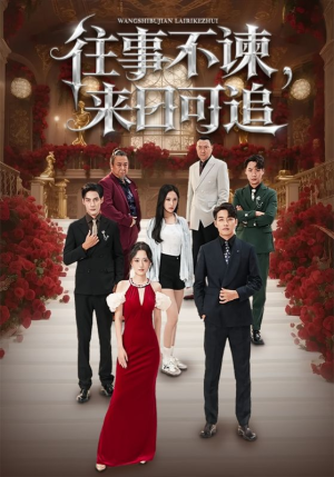 往事不谏来日可追（66集）热播短剧排行榜