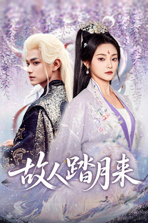 故人踏月来（60集）好看短剧又来了