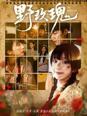 野玫瑰（82集）好看吗