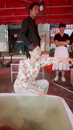 超级机遇系统（86集）一起追生活短剧
