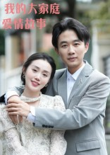 我的大家庭爱情故事（15集）短剧全集免费