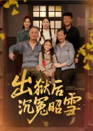 出狱后沉冤昭雪（44集）精彩短剧追不停