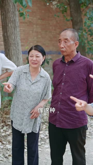重生之出人头地（88）最新火爆短剧
