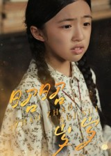 昭昭岁岁（30集）抢先看新短剧