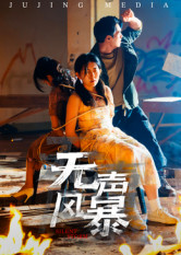 无声风暴(33集) 无声风暴(33集)热门短剧排行榜