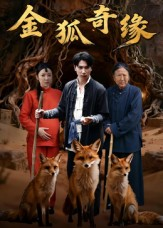 金狐奇缘(42集) 金狐奇缘(42集)超级好看的短剧