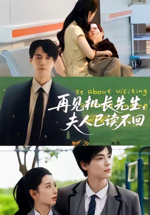 再见机长先生夫人已读不回（62集）短剧全集完整版