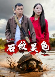 石纹灵龟(30集) 石纹灵龟(30集)视频在线看