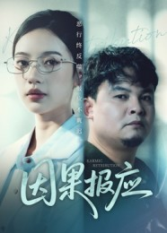 因果报应（30集）短剧看全集