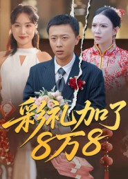 彩礼加了8万8（54集）无需会员免费看