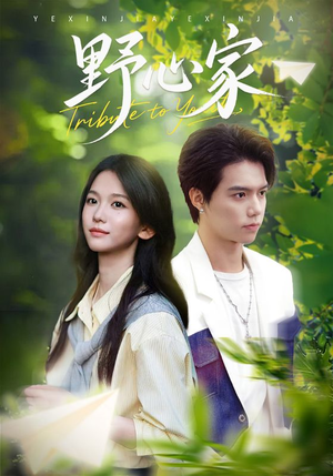 野心家(65集) 野心家(65集)一口气看完全集