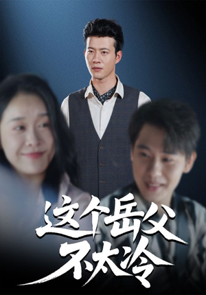 这个岳父不太冷（30集）高清画质免费看