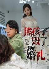熊孩子毁了我的婚礼（36集）热门短剧大全