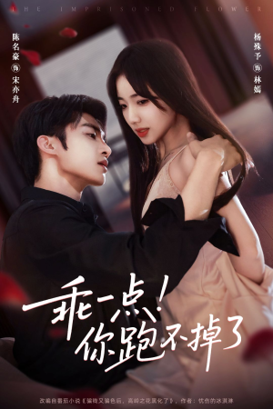 乖一点!你跑不掉了(80集) 乖一点!你跑不掉了(80集)好看吗