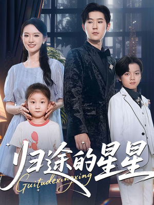 归途的星星(100集) 归途的星星(100集)全集一网打尽