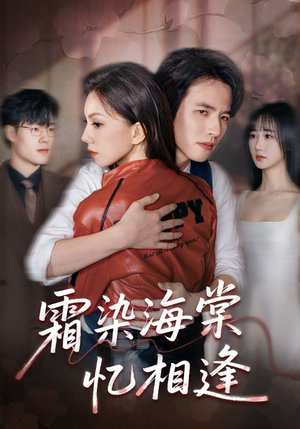 霜染海棠忆相逢（72集）排行榜前十短剧
