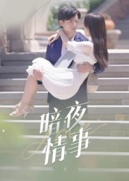 暗夜情事(100集) 暗夜情事(100集)精彩的短剧