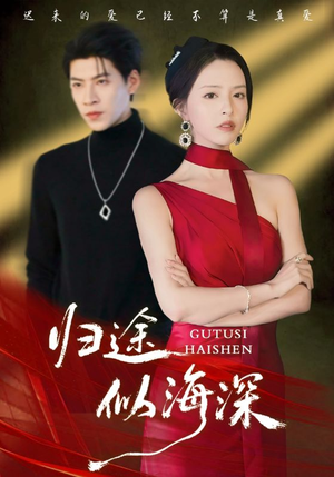 归途似海深(61集) 归途似海深(61集)免费短剧看全集