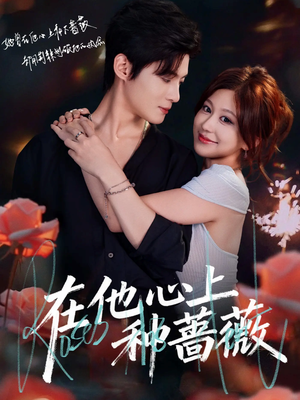 在他心上种蔷薇（81集）短视频追剧推荐