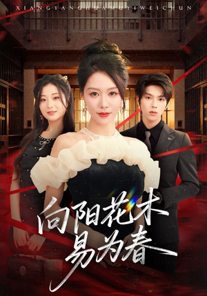 新:向阳花木易为春(72集) 新:向阳花木易为春(72集)全集