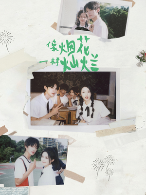 像烟花一样灿烂（60集）短剧全集抢先看