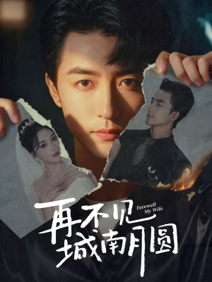 再不见城南月圆(60集) 再不见城南月圆(60集)短剧