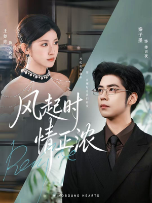 风起时情正浓(79集) 风起时情正浓(79集)热播短剧追不停